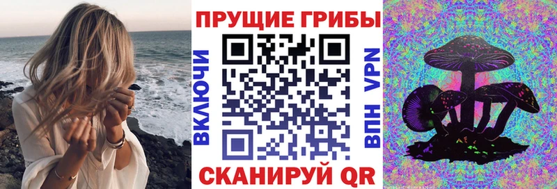где найти наркотики  Катав-Ивановск  Псилоцибиновые грибы MAGIC MUSHROOMS 